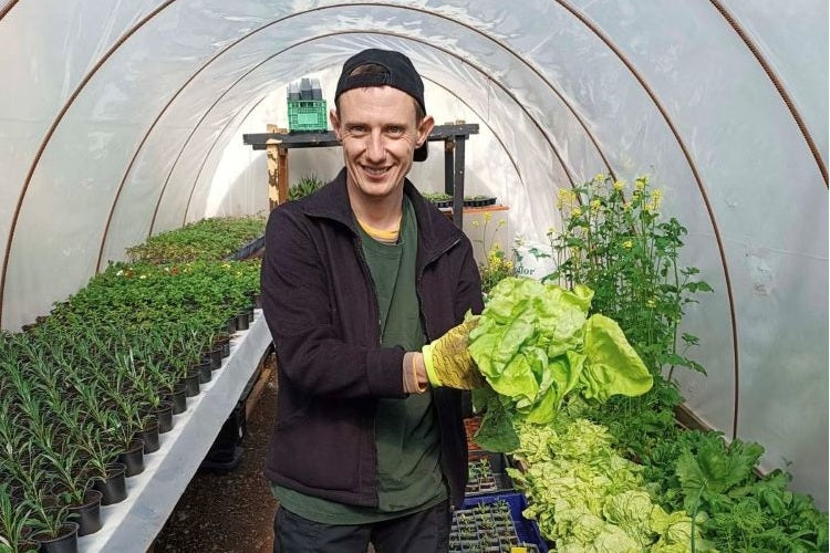 Време е за нещо свежо и зелено