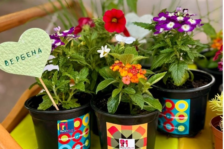 Цветната магия на Трудовия център е тук