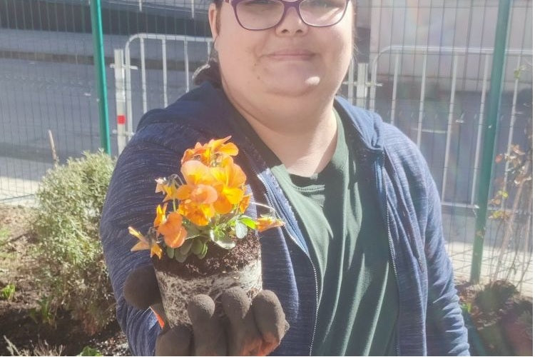 Пролетно оживление в градината на Трудовия център