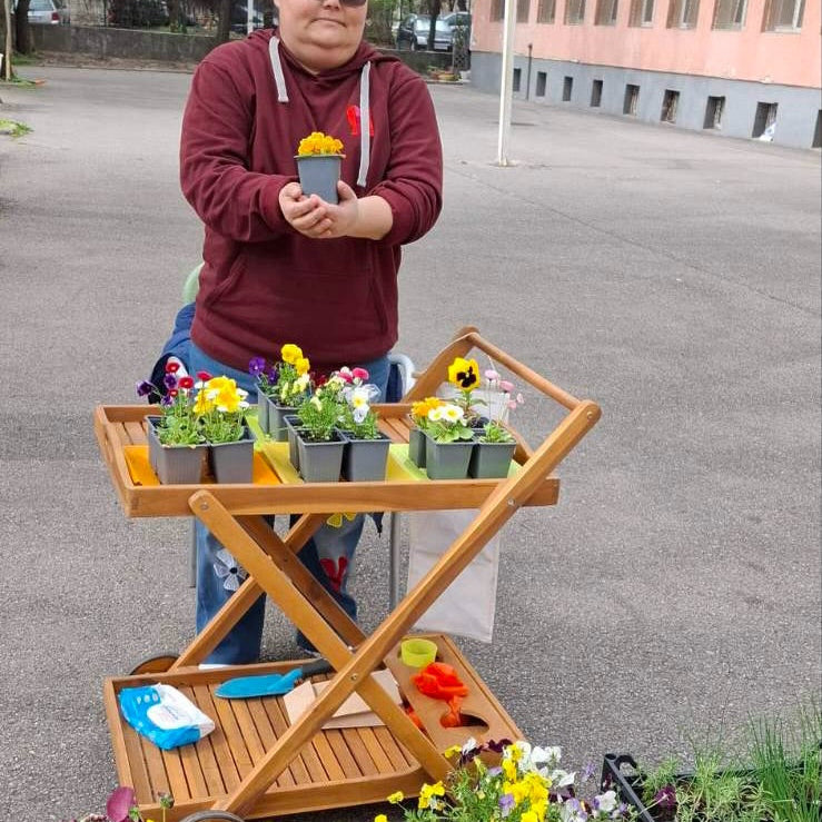Градината ни в „Надежда“ оживява с цветове и аромати