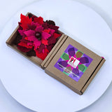 Елегантна брошка коледна звезда в цветовете на фоднацията