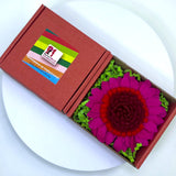 Елегантна брошка гербер