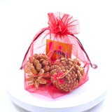 Висулка златна шишарка - 2 бр.